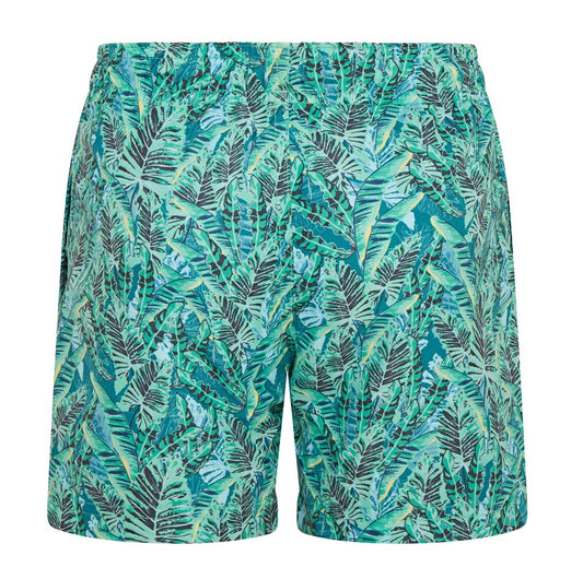RCJSHO793 - Boys Leaf Print Swim Shorts